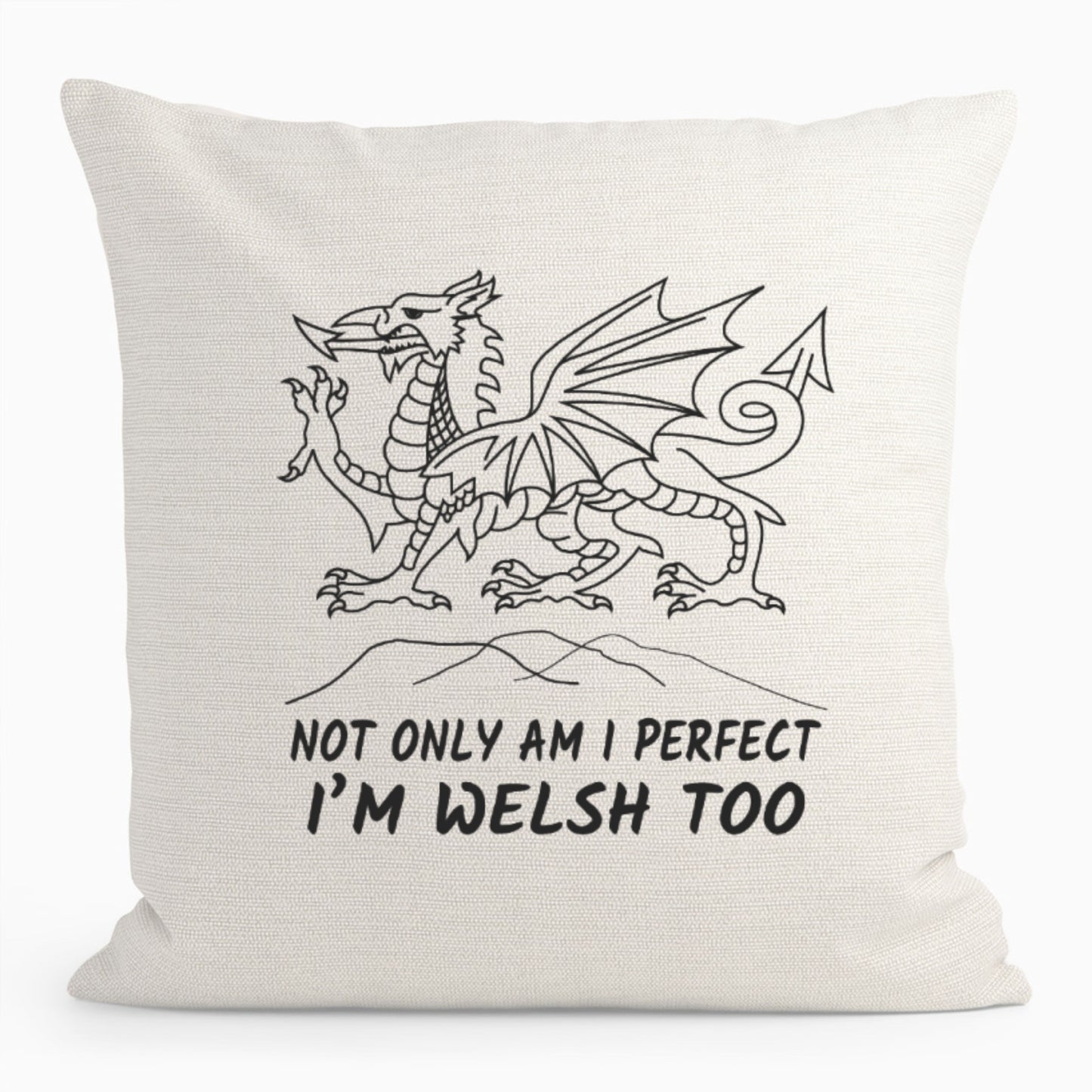 Welsh Dragon Cushion D1