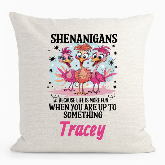 Personalised Funny Shenanigans Cushion
